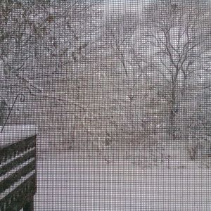 Meet your Posher, Catanna